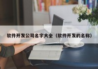 软件开发公司名字大全（软件开发的名称）