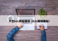 大型b2c网站建设（b2c商城建站）