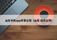 山东手机app开发公司（山东 软件公司）