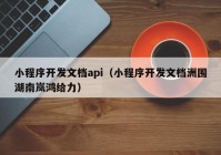 小程序开发文档api（小程序开发文档洲围湖南岚鸿给力）