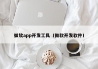 微软app开发工具（微软开发软件）