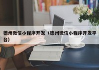 德州微信小程序开发（德州微信小程序开发平台）