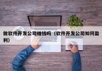 做软件开发公司赚钱吗（软件开发公司如何盈利）