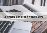 小程序开发运营（小程序开发运营维护）