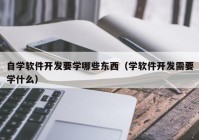 自学软件开发要学哪些东西（学软件开发需要学什么）