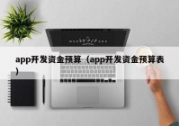 app开发资金预算（app开发资金预算表）